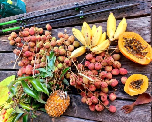 Que penser du sucre dans l’alimentation vivante ?