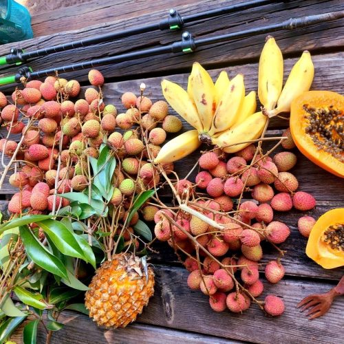 Que penser du sucre dans l’alimentation vivante ?