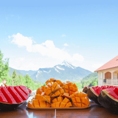 La fréquence des repas en alimentation vivante