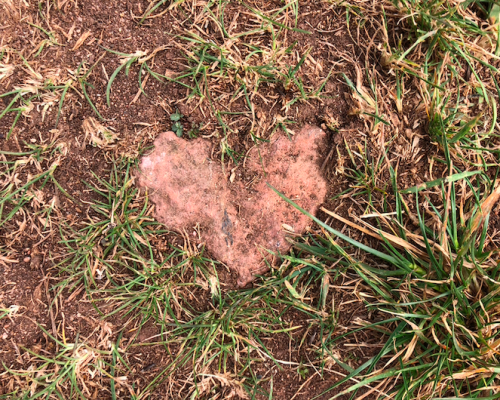 Are we guided by life?