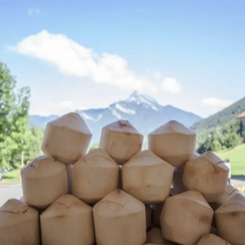 L’impact de l’alimentation vivante sur l’environnement