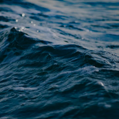 Alimentation vivante : l’eau de mer et ses bienfaits