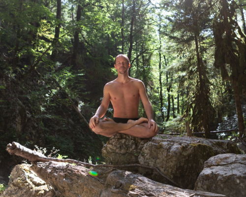 Living nutrition and vibrational energy