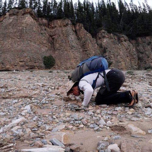 Hormèse : Le jeûne intermittent et ses limites