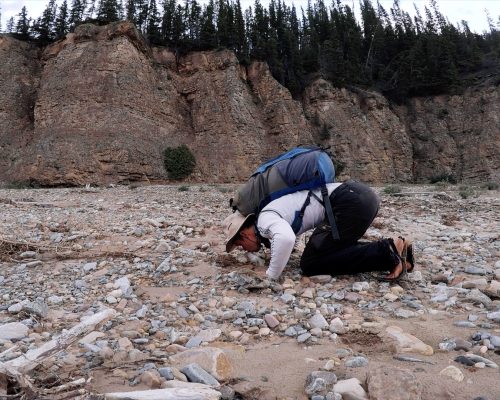 Hormèse : Le jeûne intermittent et ses limites