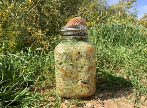 Les légumes lacto-citronnés