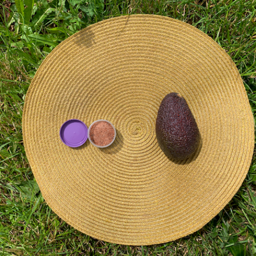 L’oeuf d’avocat