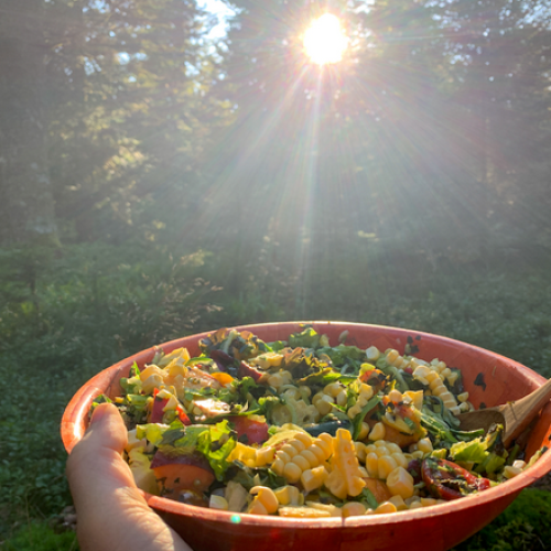 La salade fruitée