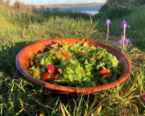 La fruicassée de légumes