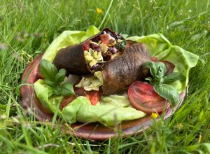 Les wrapignons