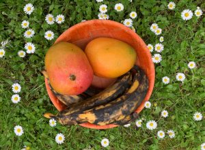 Le repas de fruits