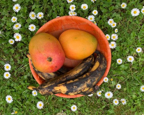 Le repas de fruits