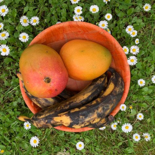 Le repas de fruits